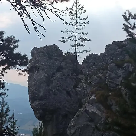 Luna Jahorina Zlatni Javor Milosa Crnjanskog 2d Appartement *