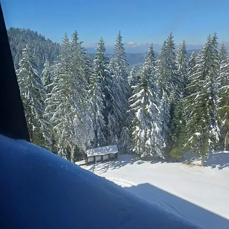 Mk Jahorina Ivisovo Greblje